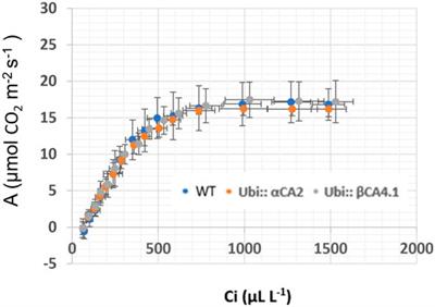 Carbonic anhydrases in the cell wall and plasma membrane of Arabidopsis thaliana are required for optimal plant growth on low CO2